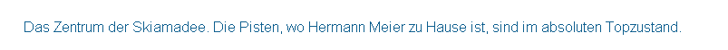 Textfeld:  
     Das Zentrum der Skiamadee. Die Pisten, wo Hermann Meier zu Hause ist, sind im absoluten Topzustand. 
