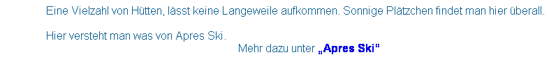 Textfeld:                Eine Vielzahl von Htten, lsst keine Langeweile aufkommen. Sonnige Pltzchen findet man hier berall. 
      
               Hier versteht man was von Apres Ski. 
                         Mehr dazu unter Apres Ski
